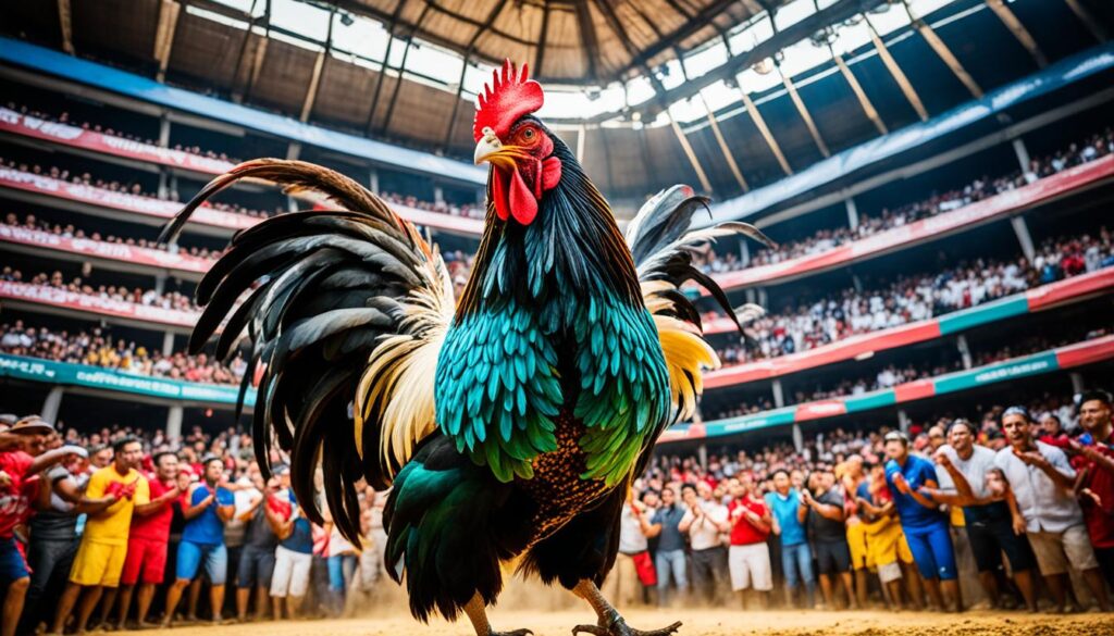 Sabung Ayam Filipina